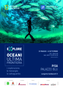 Thomas P. Peschak/National Geographic Image Collection