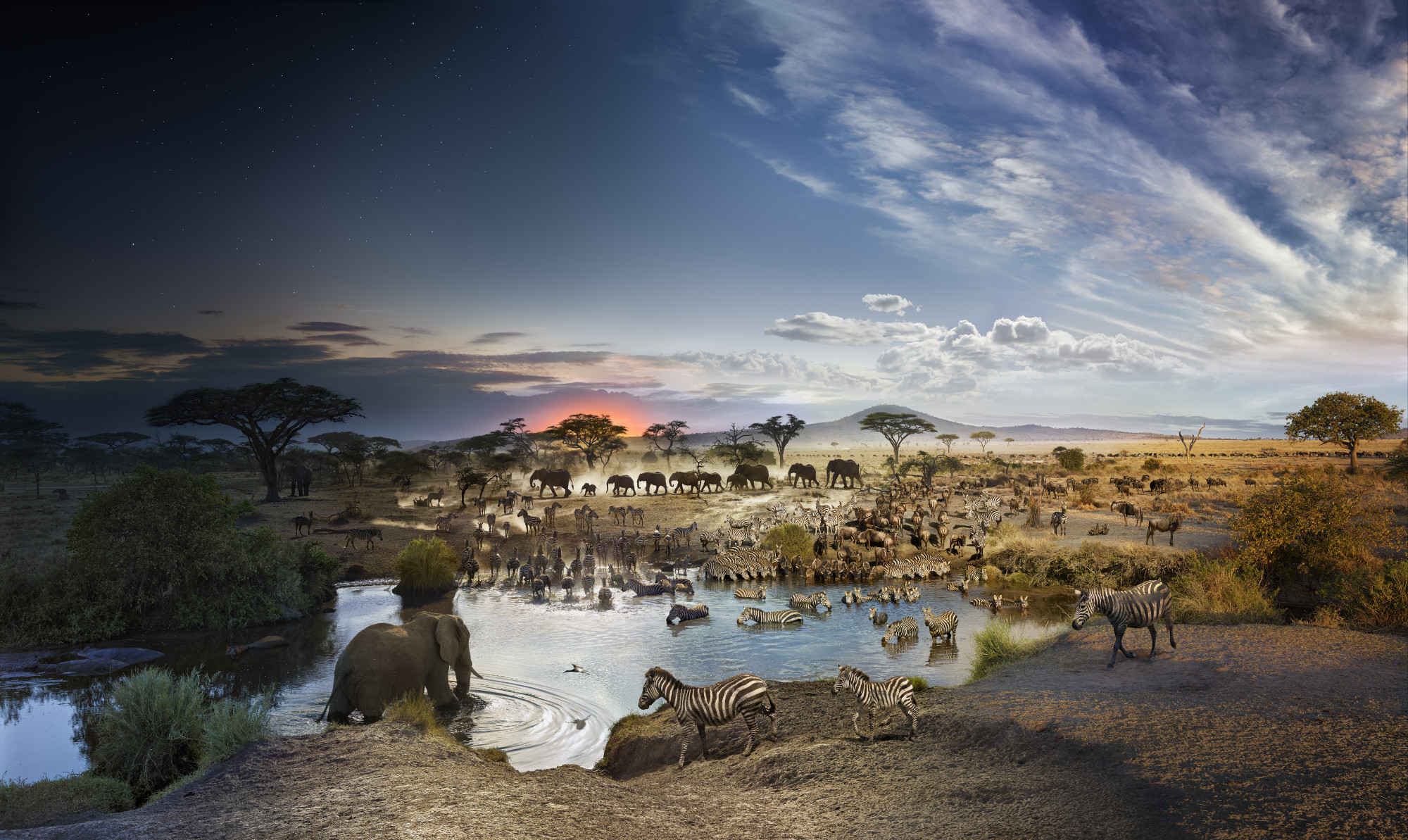 Serengeti National Park, Tanzania, Day to Night™, 2015 © Stephen Wilkes