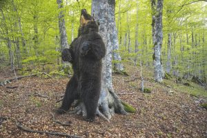 FOTO: BRUNO D’AMICIS/UMBERTO ESPOSITO