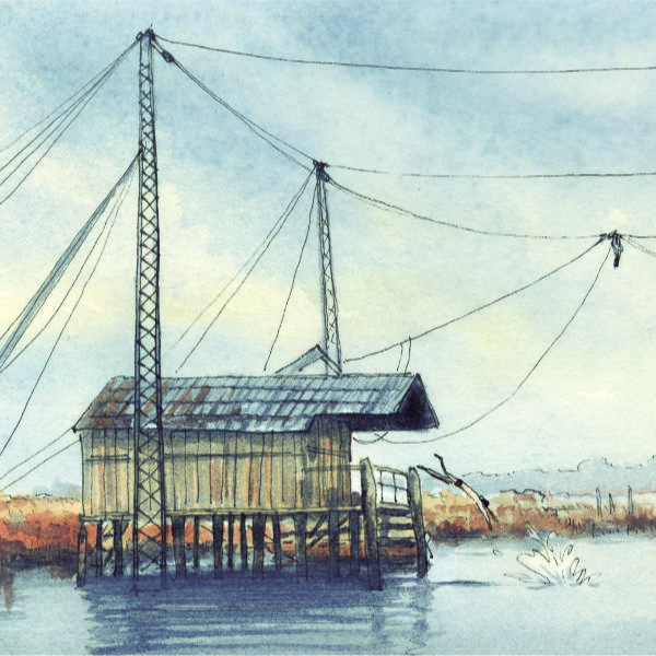 Piero Macola. Paesaggi di vita 25 Aprile 2026 - 8 Novembre 2026