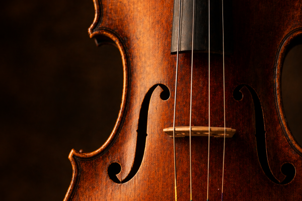 Violino